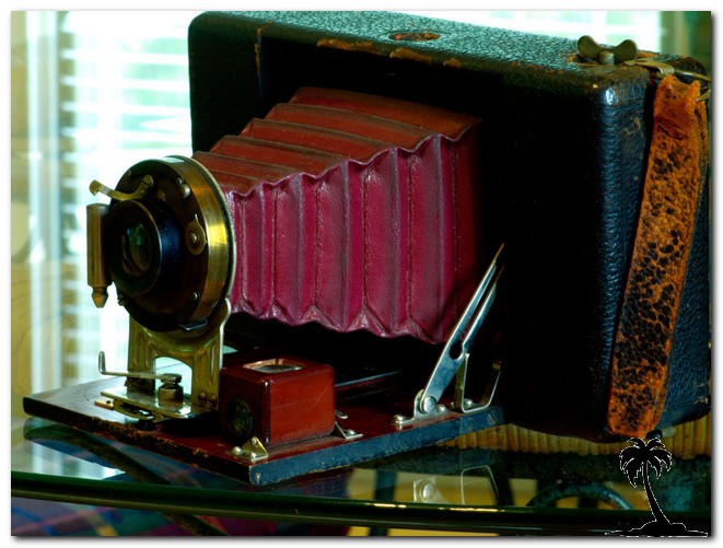 American Camera-Buckeye 8