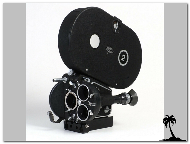 Arnold Richter-Arriflex 35 Iib