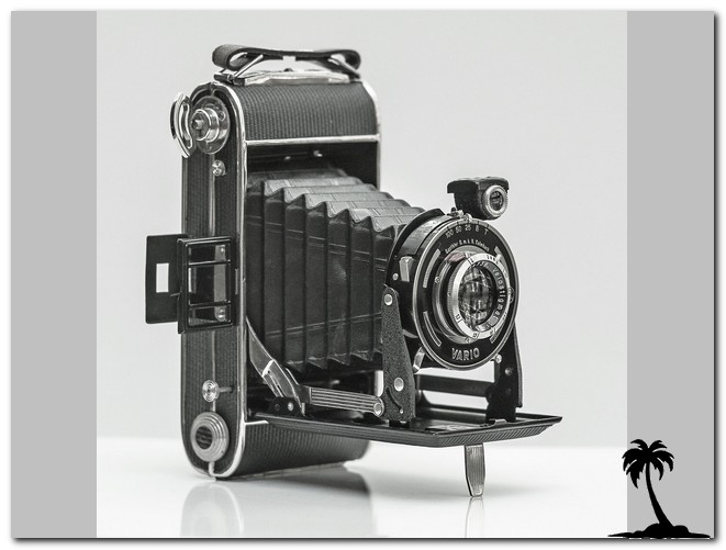 Bonafix Early Folding VF