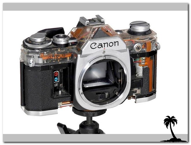 Canon-AE-1 Transperent