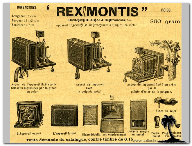 Rex Montis
