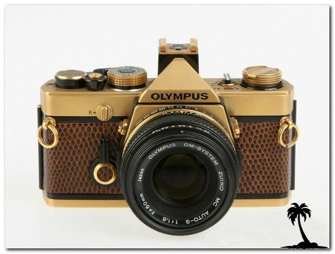 Olympus-OM-1 Gold