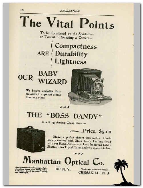 Boss Dandy