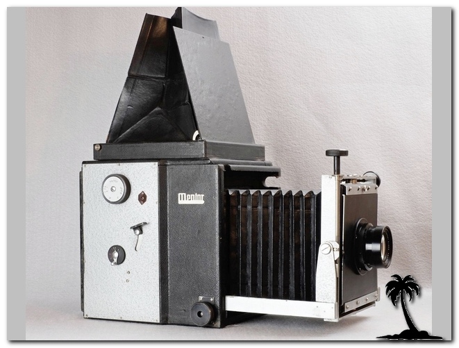 Mentor Studio Reflex
