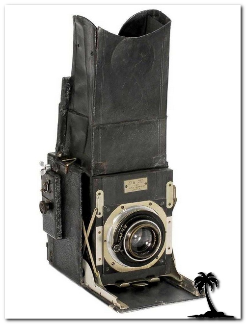 Folding Reflex