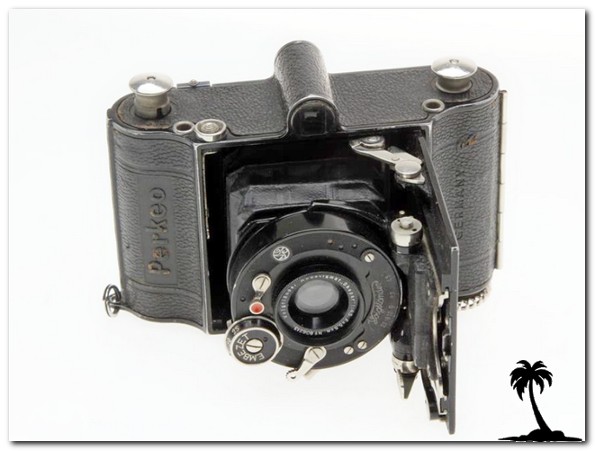 Voigtlander-Perkeo 3x4 Fixed VF