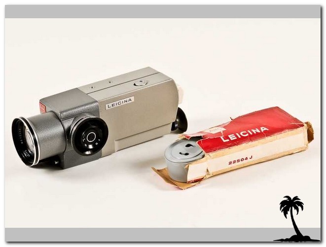 Leicina 8V