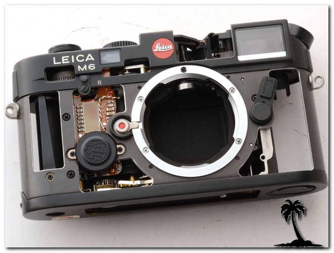 Leica M6 Cutout