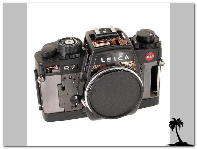 Leica R7 Cutout