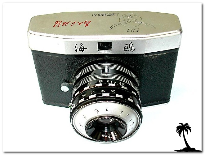 Seagull 501