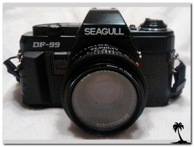 Seagull D-99