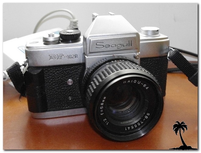 Seagull DF-102b