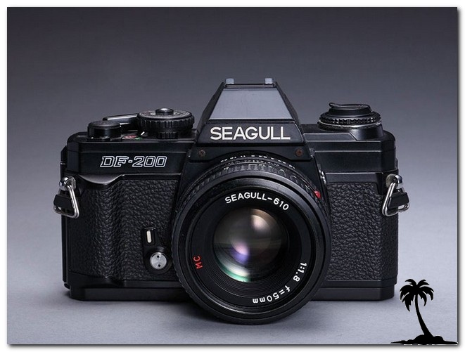 Seagull DF-200