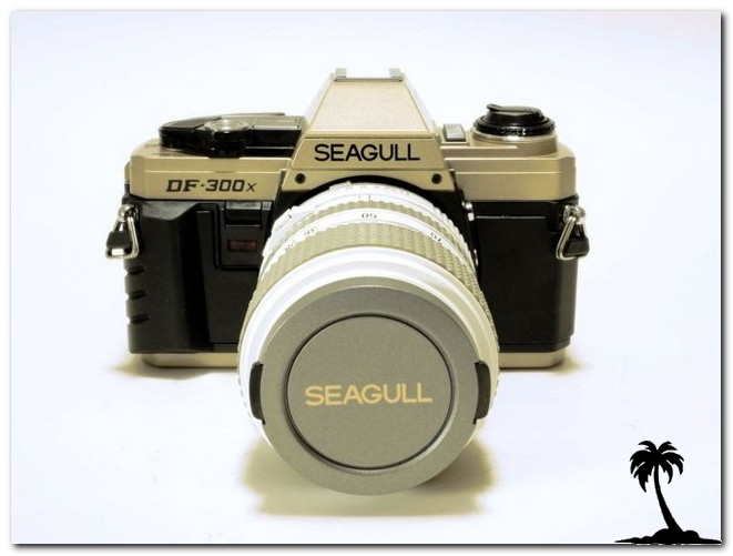 Seagull DF-300X