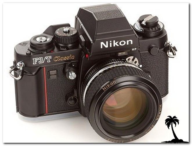 F 3 T Classic black