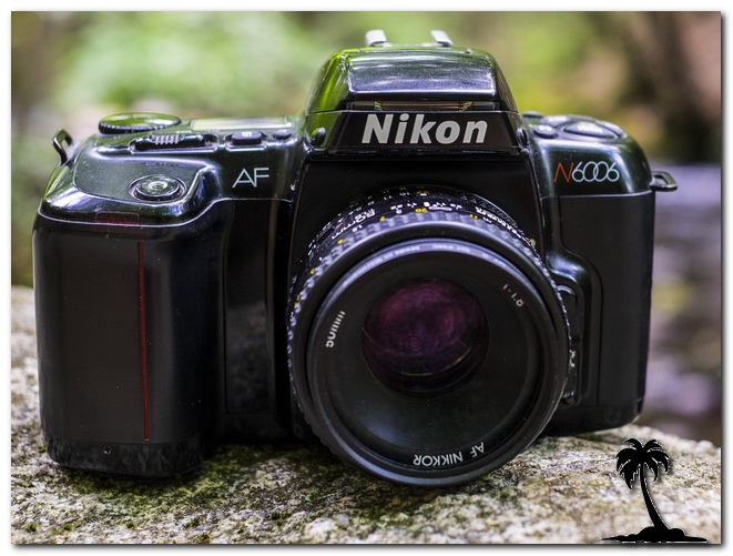 N6006