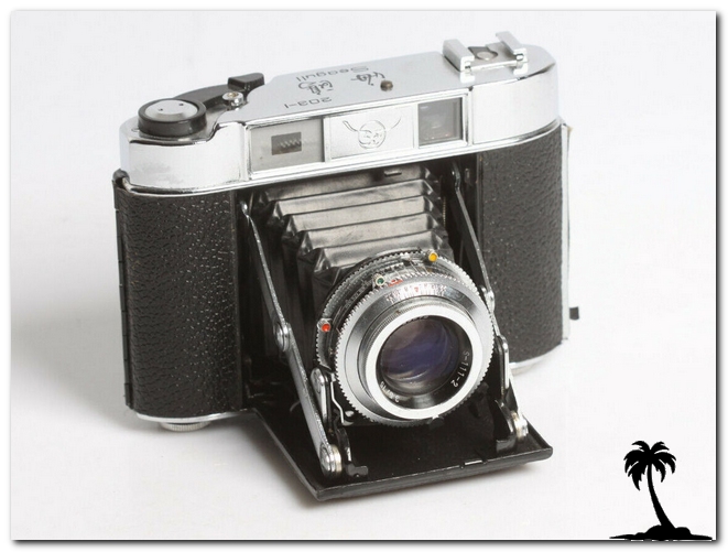 Seagull 203-1
