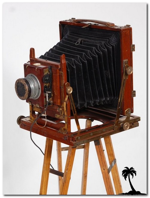 May Roberts-Sandringham