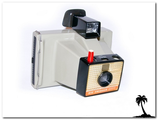 Polaroid-3000 Big Swinger