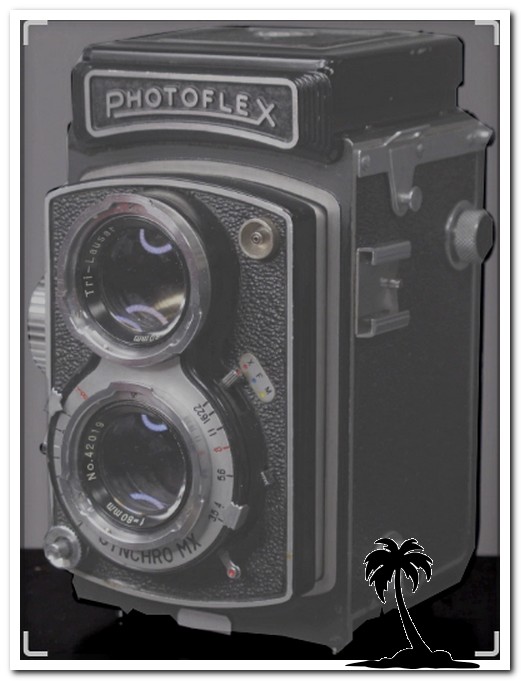 Beauty-Photoflex SCL