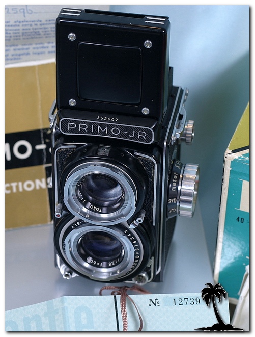 Primo Junior II