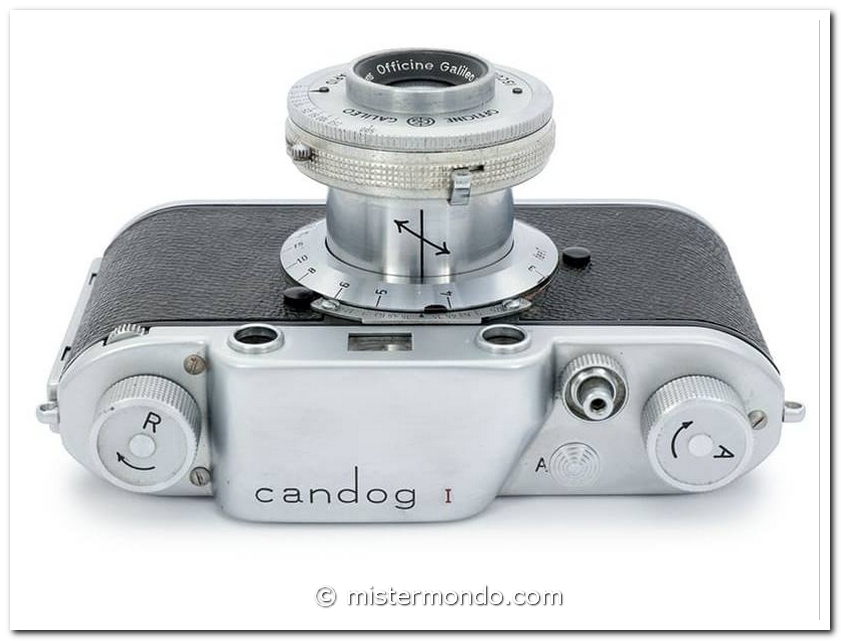 Candog