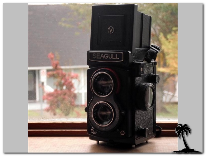 Seagull GC 105