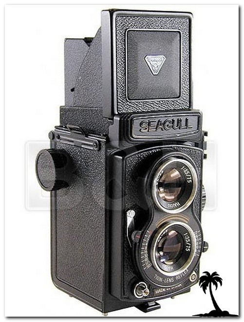 Seagull GC 104