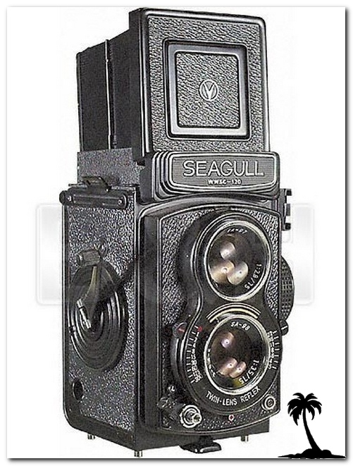 Seagull GC 107