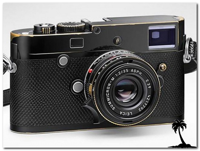 Leitz-Leica Correspondent Lenny Kravitz
