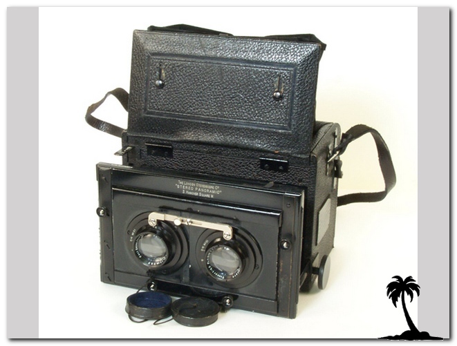Stereo Panoramic Reflex