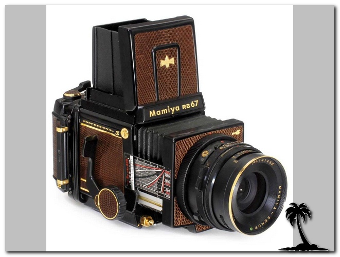 Mamiya-RB 67 Gold Lizard