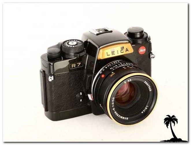 Leica R7 Nihon Siber Hegner