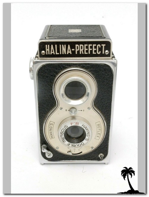 Halina-Halina Perfect