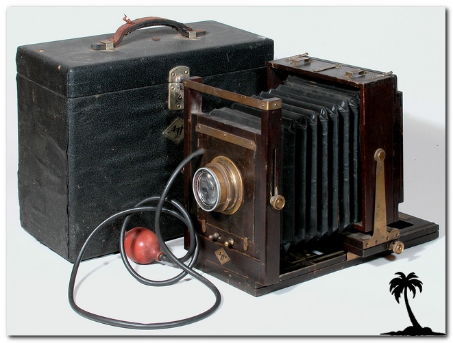 Standard View Camera