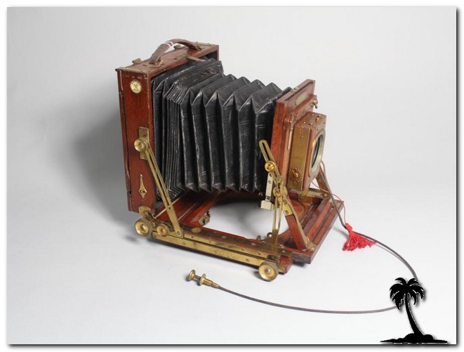 Harringtons-Favourite Victo