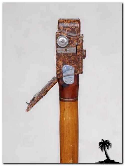 Coronet-Midget Cane